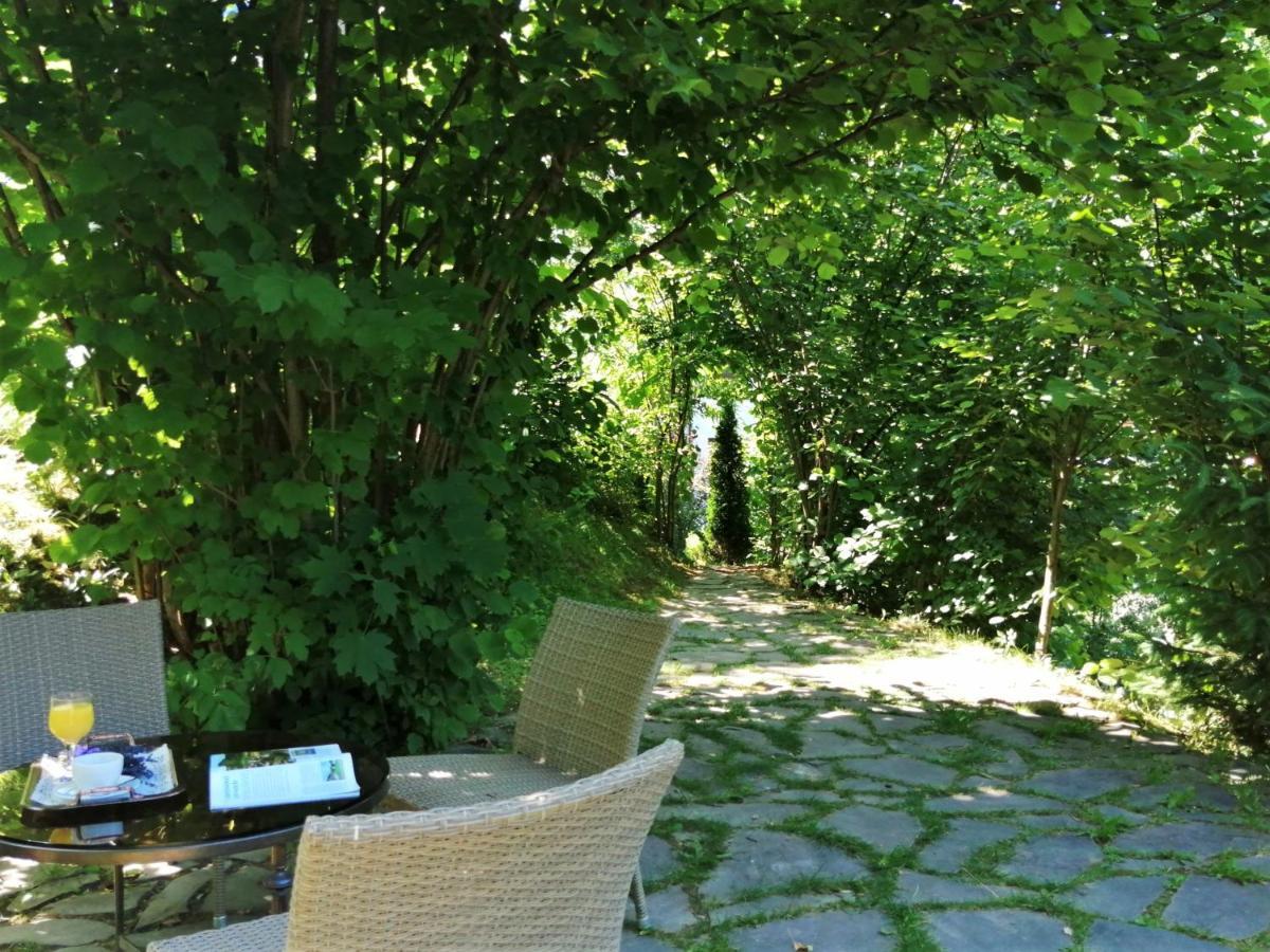 Greenhill Brasov Braşov Exterior foto